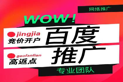 SEM代运营经典案例：提升品牌影响力